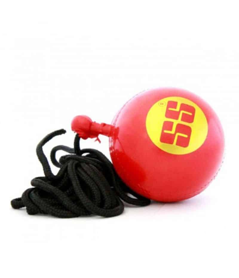 httpswww.sstoncricket.commediacatalogproductbaballhangingball1-1200x1200-1.jpg ss hanging cricket ball